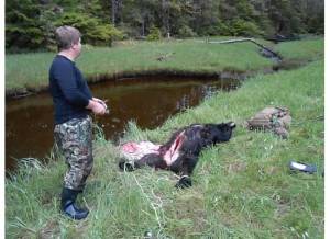 me and bear