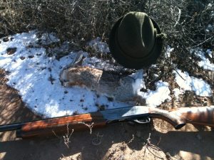 Rabbit