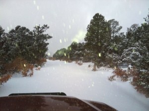 Snow Road