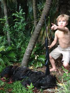 jungle fowl