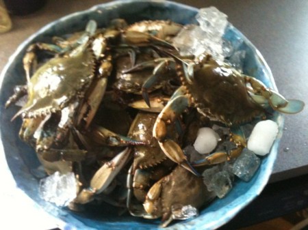 crabs 1