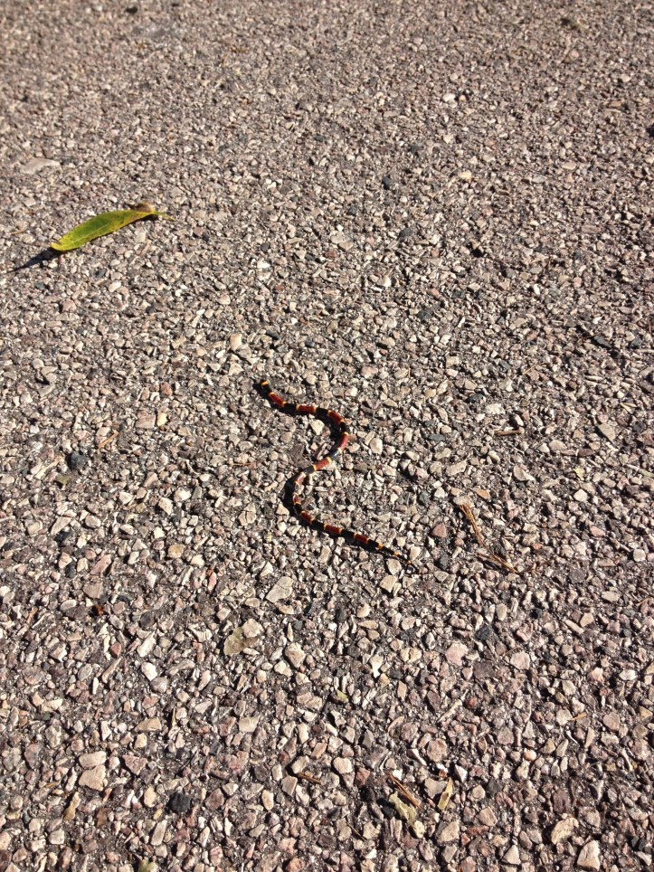 20131024-212249.jpg