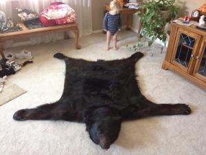 bear rug