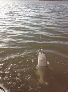 photo (14)