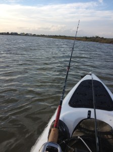 photo (15)