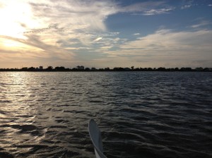 photo (19)