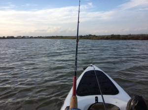 photo (20)