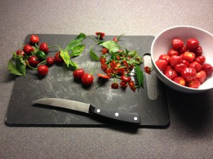 photo (2)