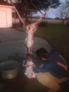 skinning