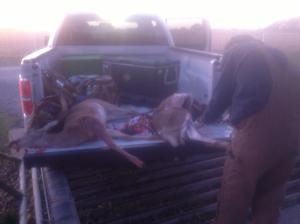 tailgate