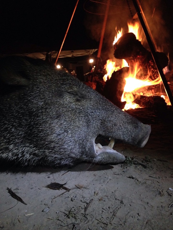 IMG_3595
