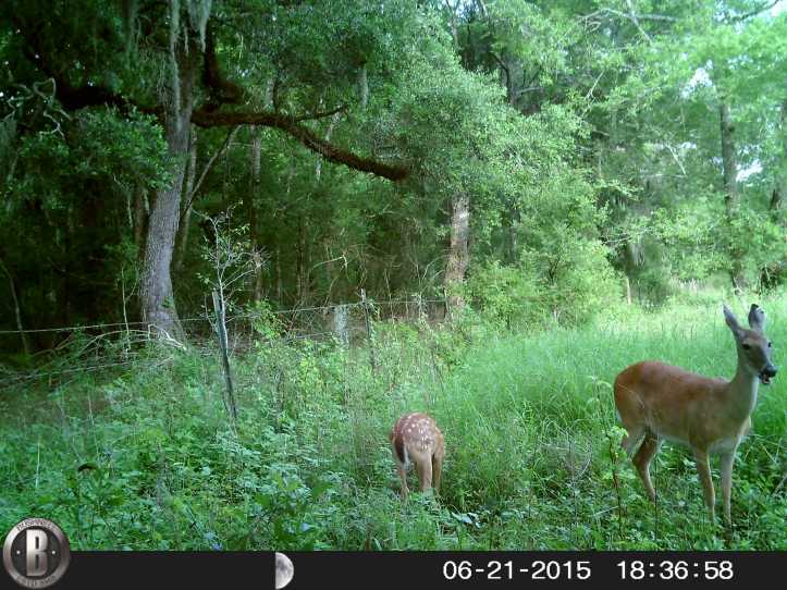 HUNT0048