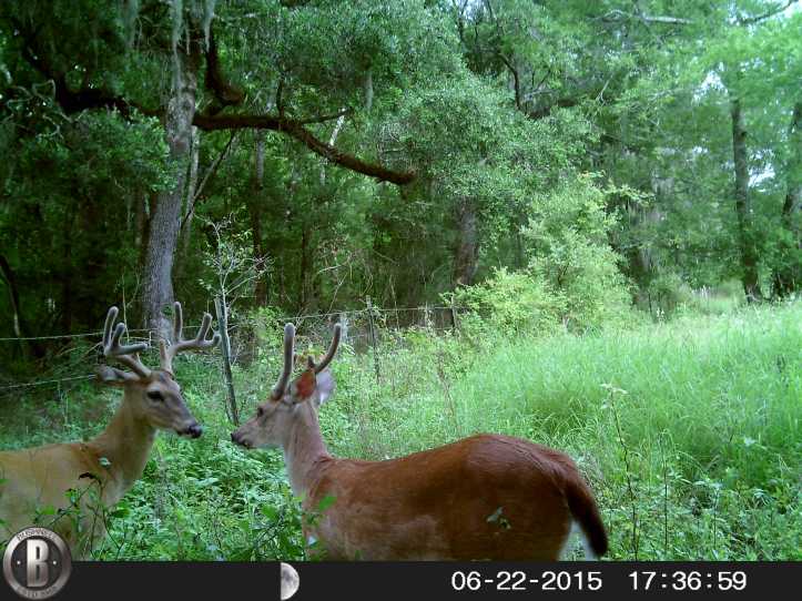 HUNT0466