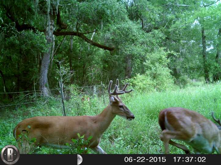 HUNT0467