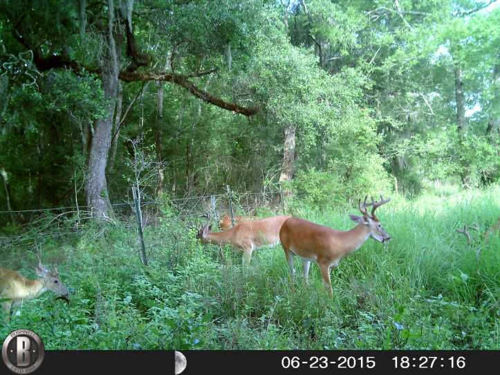 HUNT0851