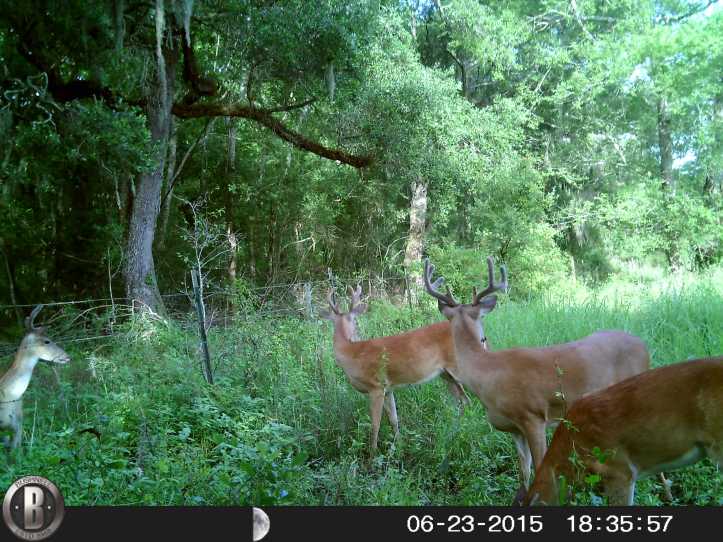 HUNT0879