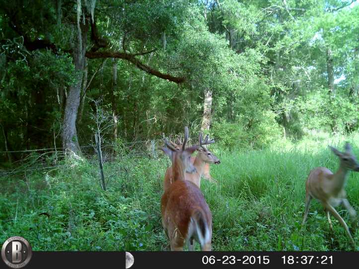 HUNT0892