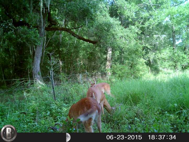 HUNT0895