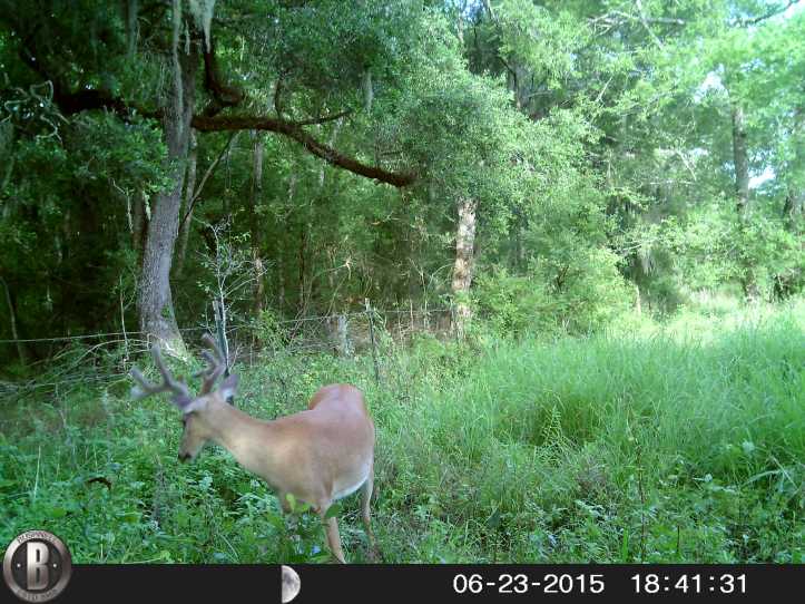 HUNT0920